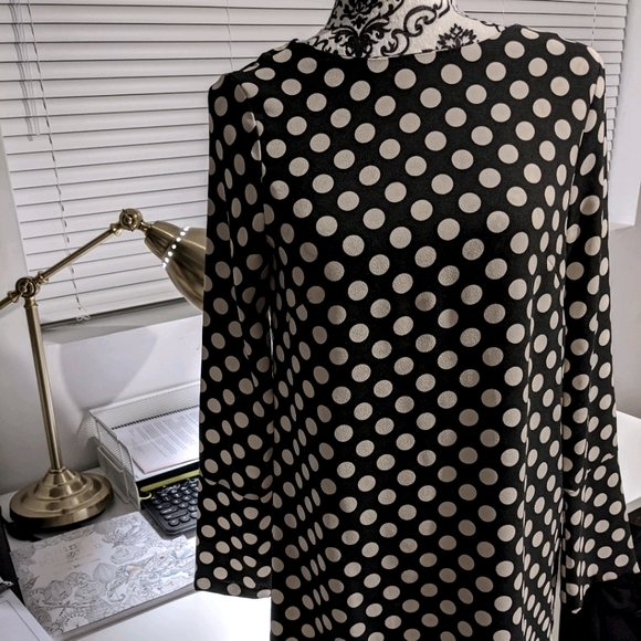 🔥3/$30🔥H&M Polka dot shift dress - sz 4 - Picture 1 of 8